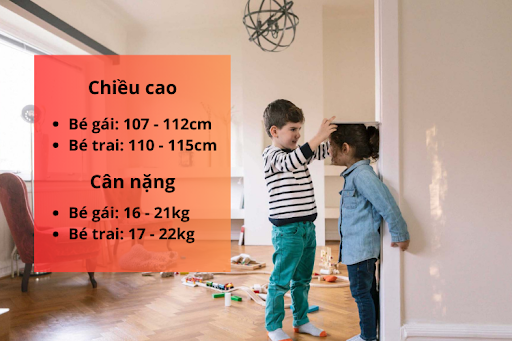 Trẻ 5 tuổi phát triển chiều cao đáng kể so với giai đoạn trước.