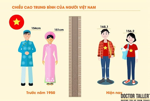 Sự khác biệt chiều cao của giới trẻ Việt Nam từ năm 1950 đến hiện tại năm 2023